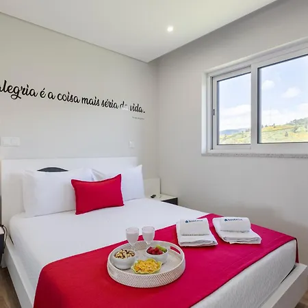 Spacious Pool & Douro View By Host Wise Bed & Breakfast