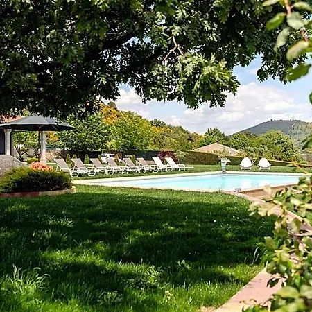 Ladeira Suites, A Douro Retreat By Hostwise Bed and Breakfast Santa Marinha do Zêzere